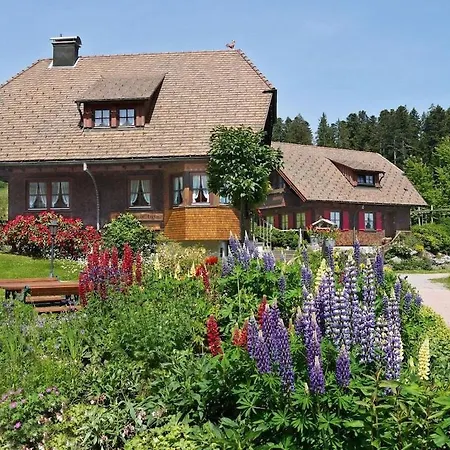 Lautertal In Anja Freudenstadt